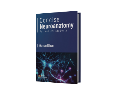 Concise Neuroanatomy For Medical Students