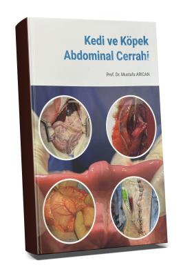 Kedi ve Köpek Abdominal Cerrahi Veteriner Hekimliği Mustafa Arıcan